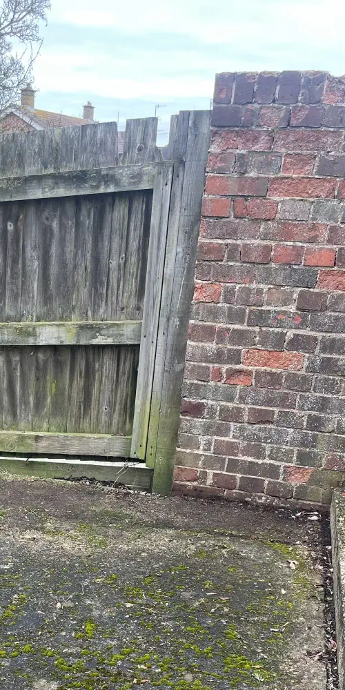 Garden Clearance, Newhaven